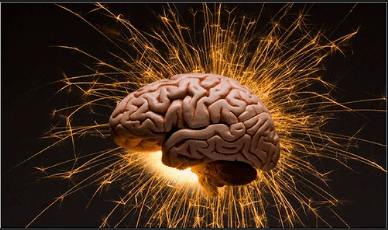 Извилины души