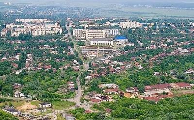 Деревья городка