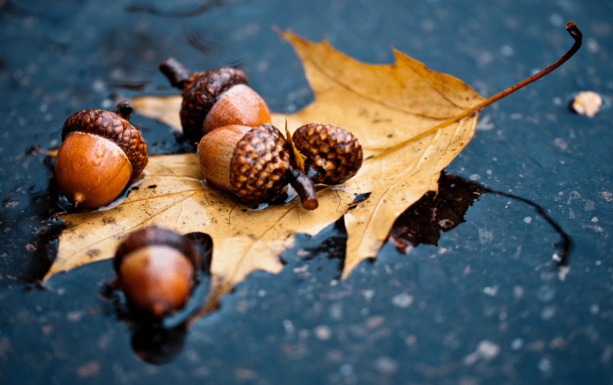 ПОД ГРУСТНЫЙ ДОЖДЬ