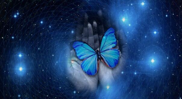 В тылу "врага"