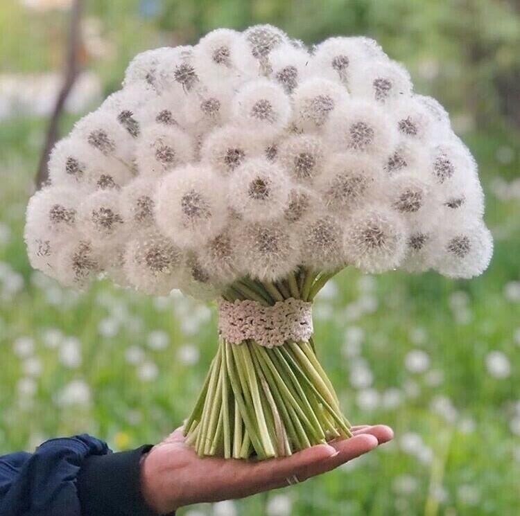 БУКЕТ ИЗ ОДУВАНЧИКОВ