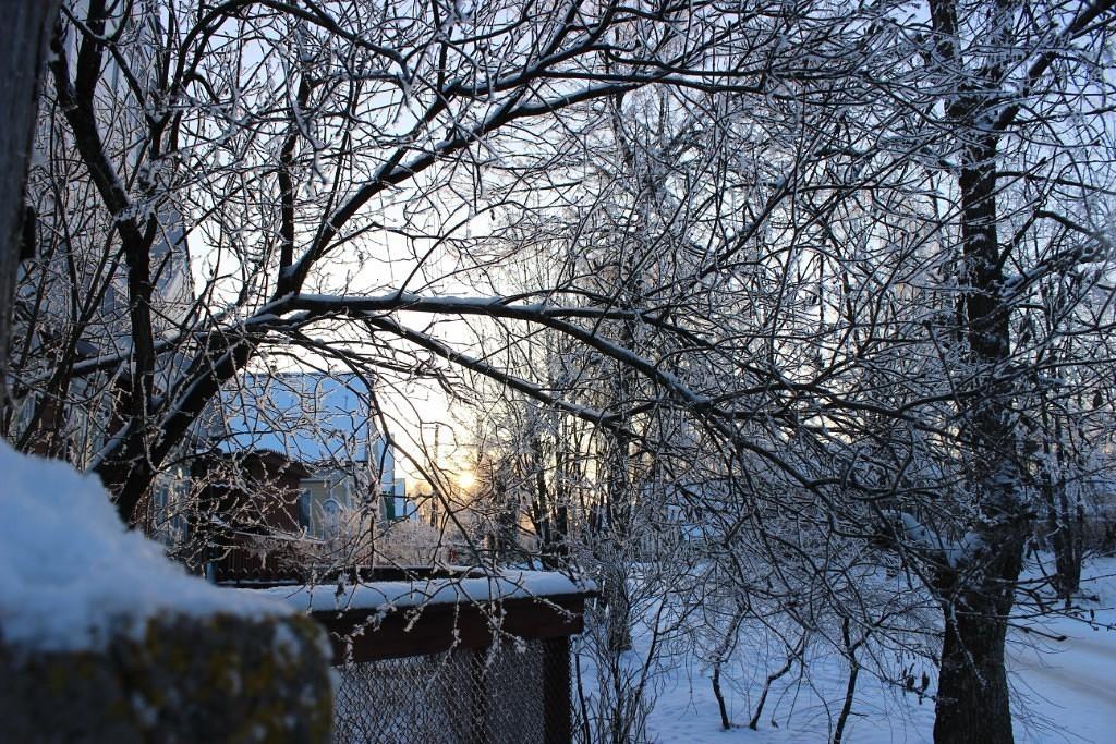 Люблю, когда зима приходит