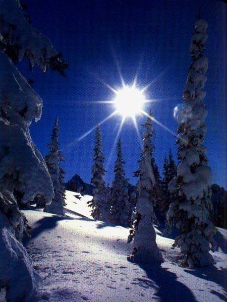 Звезда Рождества