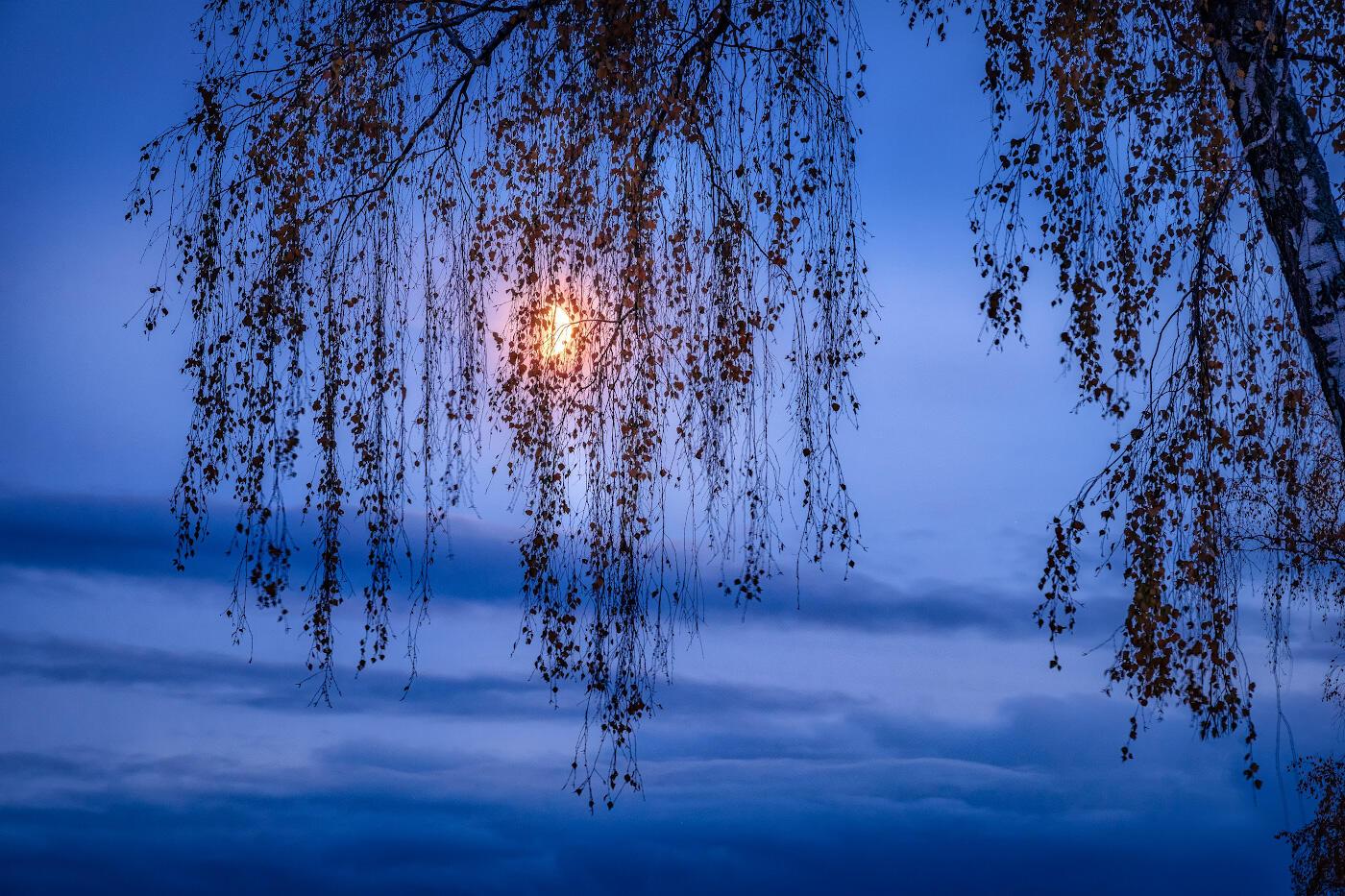 Расскажи мне ветер вольный