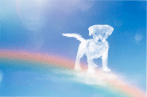 Самый лучший день 