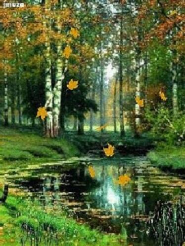 Мелодия осени. акро