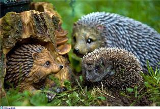 Ежовая проблема