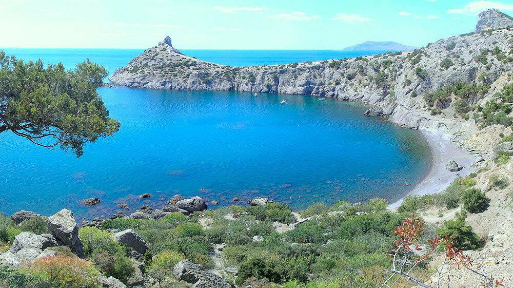 БЕЗ ПОЛИТИКИ