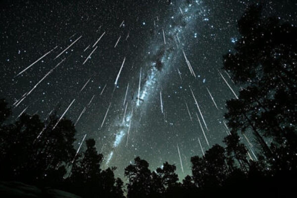 ДЕНЬ  СОБИРАНИЯ  ЗВЁЗД