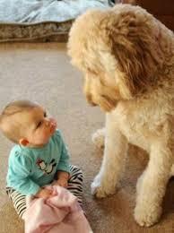 Чистосердечное признание