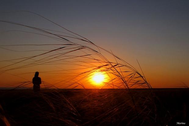 В свете костра