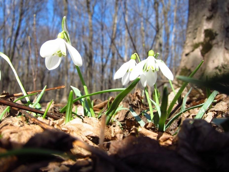 Любви всем и внутри весны тепла