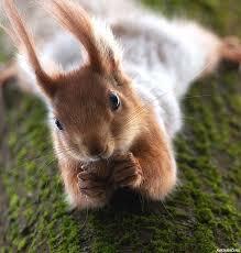 Забавное наблюдение