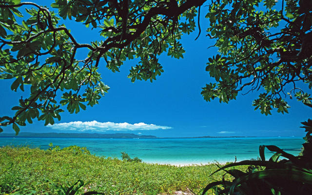 Враги себе, мы только сами.