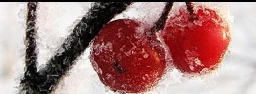 Разделим счастье… По глотку…