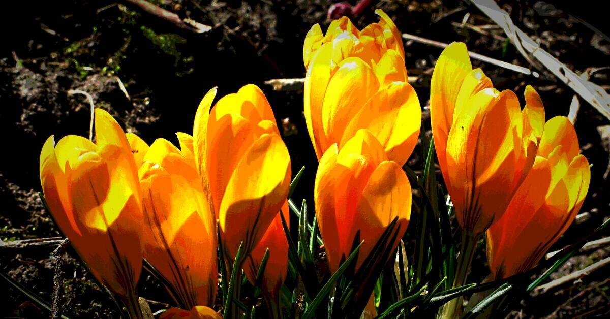 ДАВАЙ С ТОБОЙ ОСТАНЕМСЯ В АПРЕЛЕ Юшаник