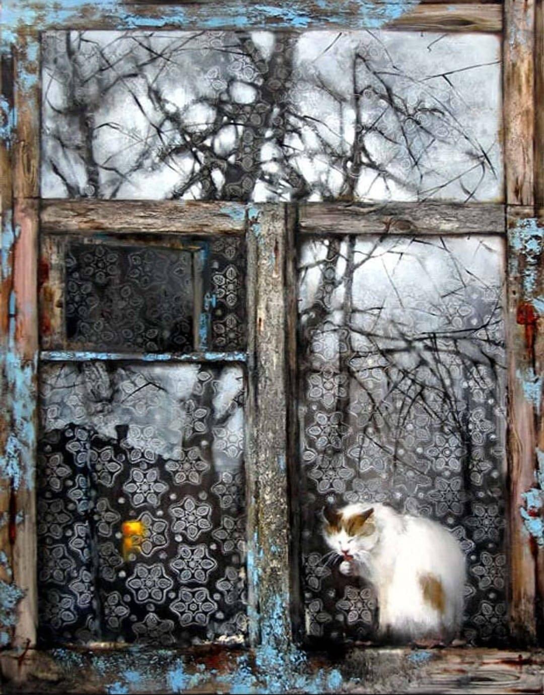 Где север, юг, где лево, право