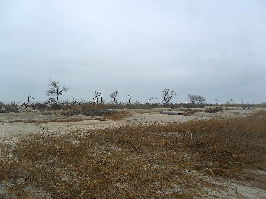 Новый год, как горе от ума...