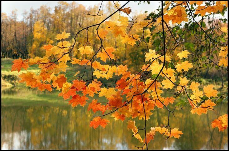 Расстояния дальние...