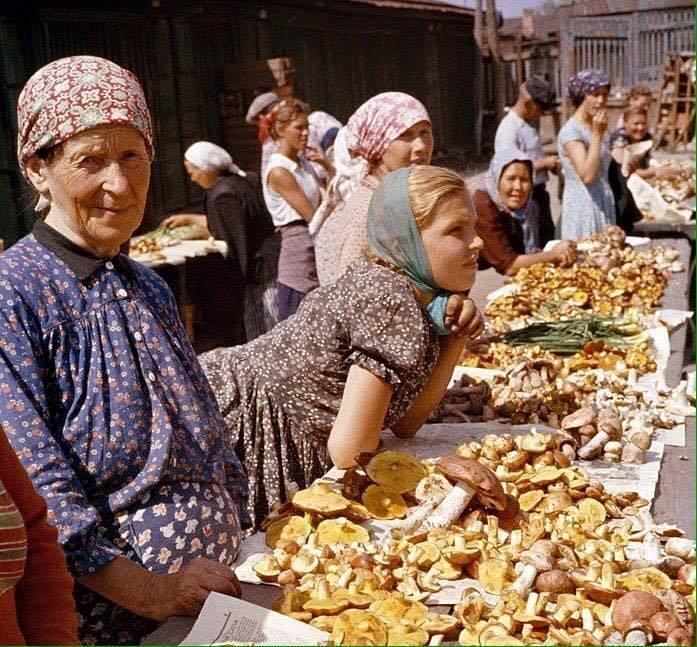 Кантата о первой любви, или Скакала по лугу графиня...