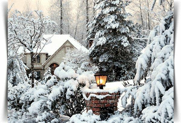 Предновогодье