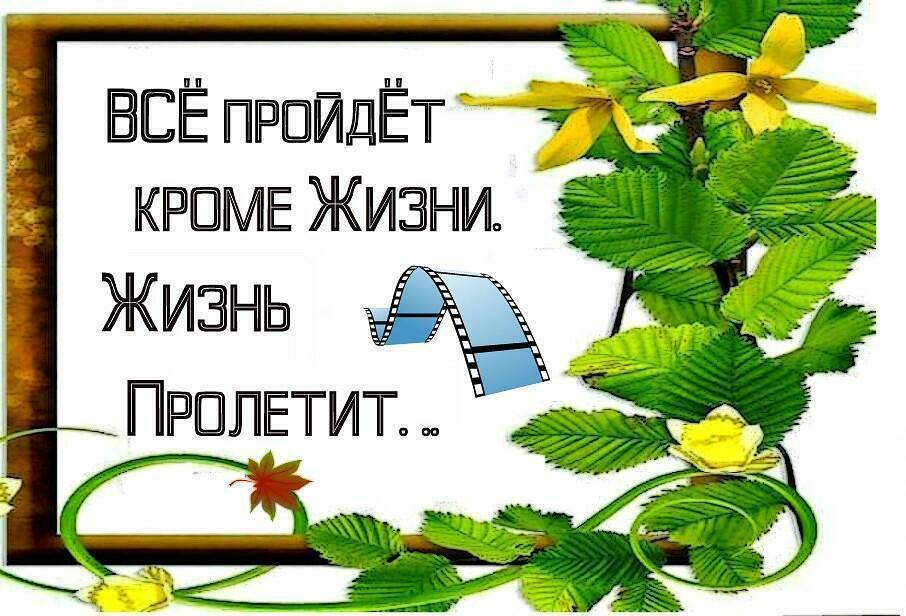 Вот так устроен человек