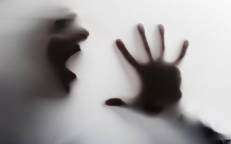 Несравненной  А.Р.