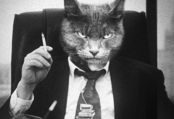 Про зверей и людей