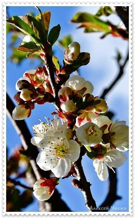 Открытые окна. Выше забвения