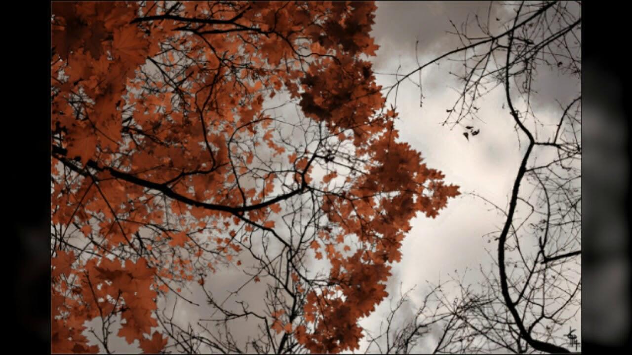 Нелюбимое время года (акро)