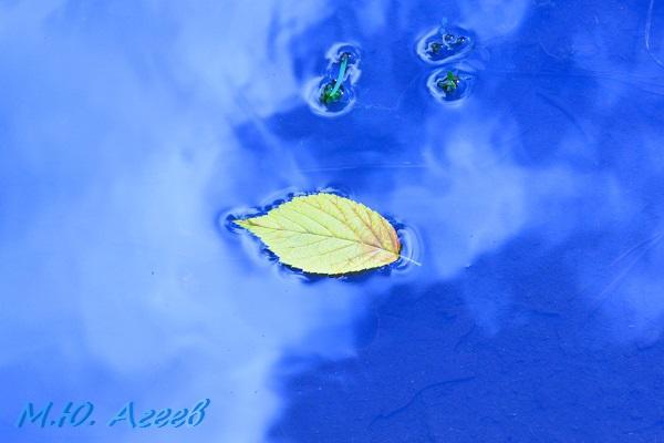 Оторвался от ветки листок