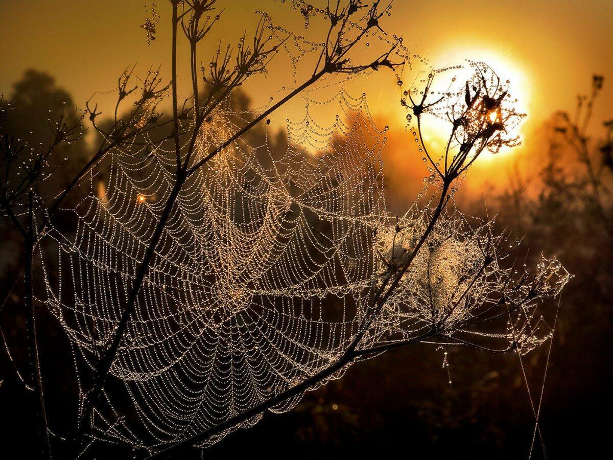 ❤️  НОЧЬЮ  ОСЕНЬ  СОГРЕШИЛА