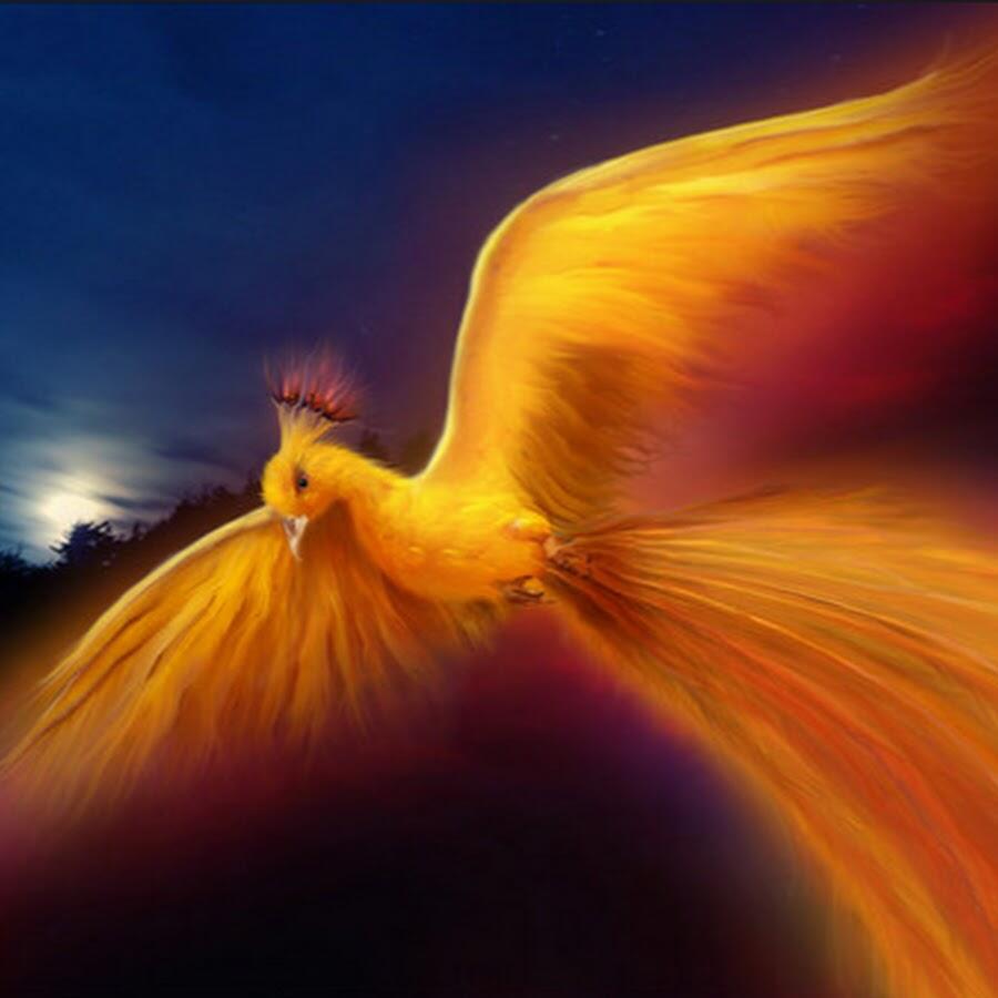 Сказка про птицелова (окончание)