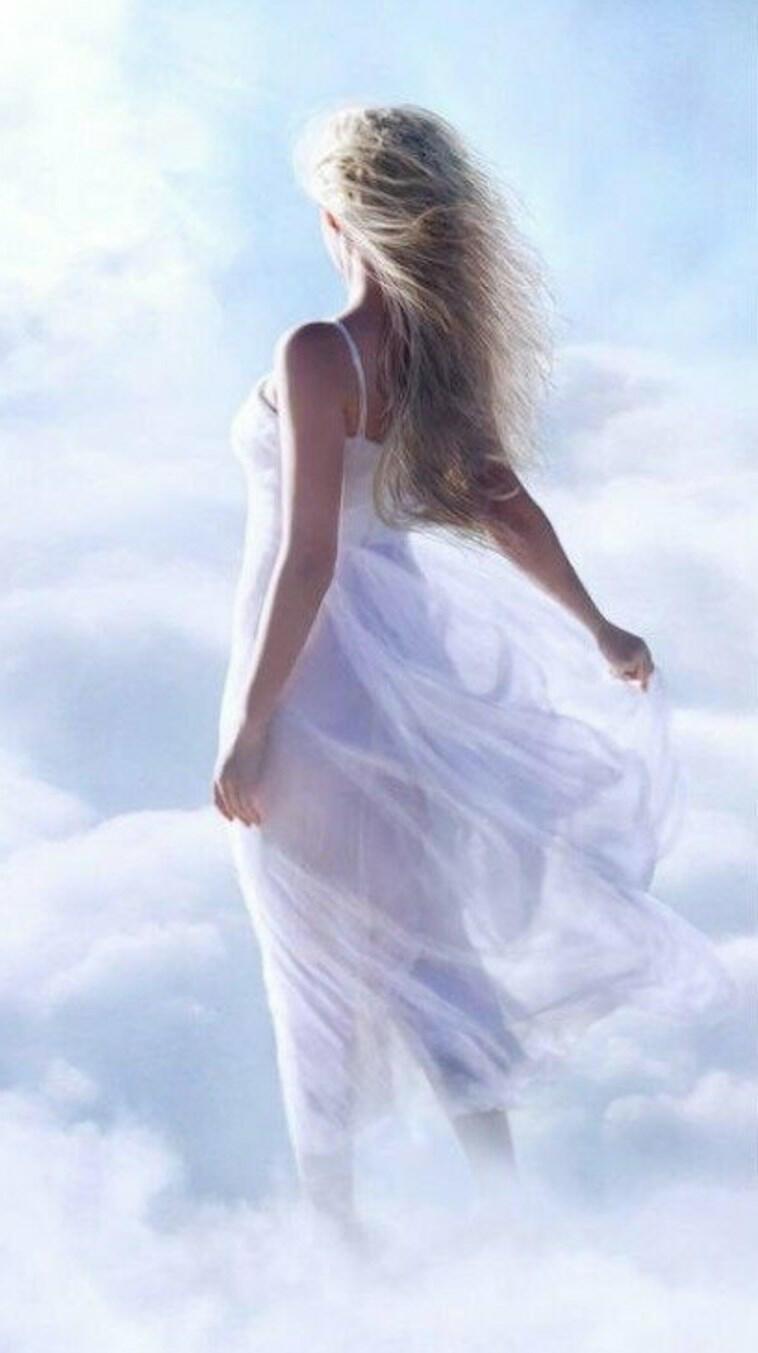 Шёпот линий