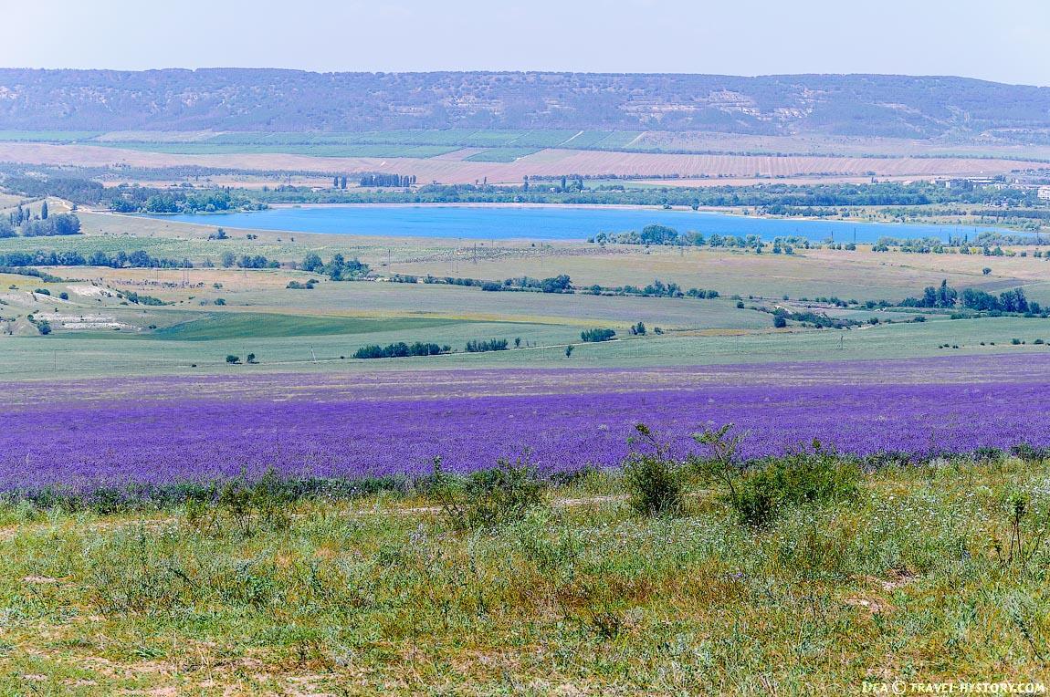 КРЫМСКИЙ  ПРОВАНС