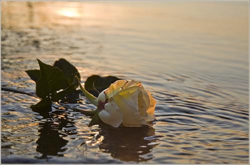 НАДО ЖИТЬ И ВЕРИТЬ