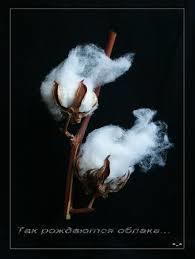 ПЕРЕД НОВЫМ ГОДОМ "СВИНЬИ"