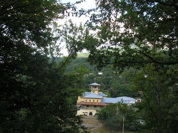 СОЛОВЬИ КУДА-ТО УЛЕТЕЛИ...