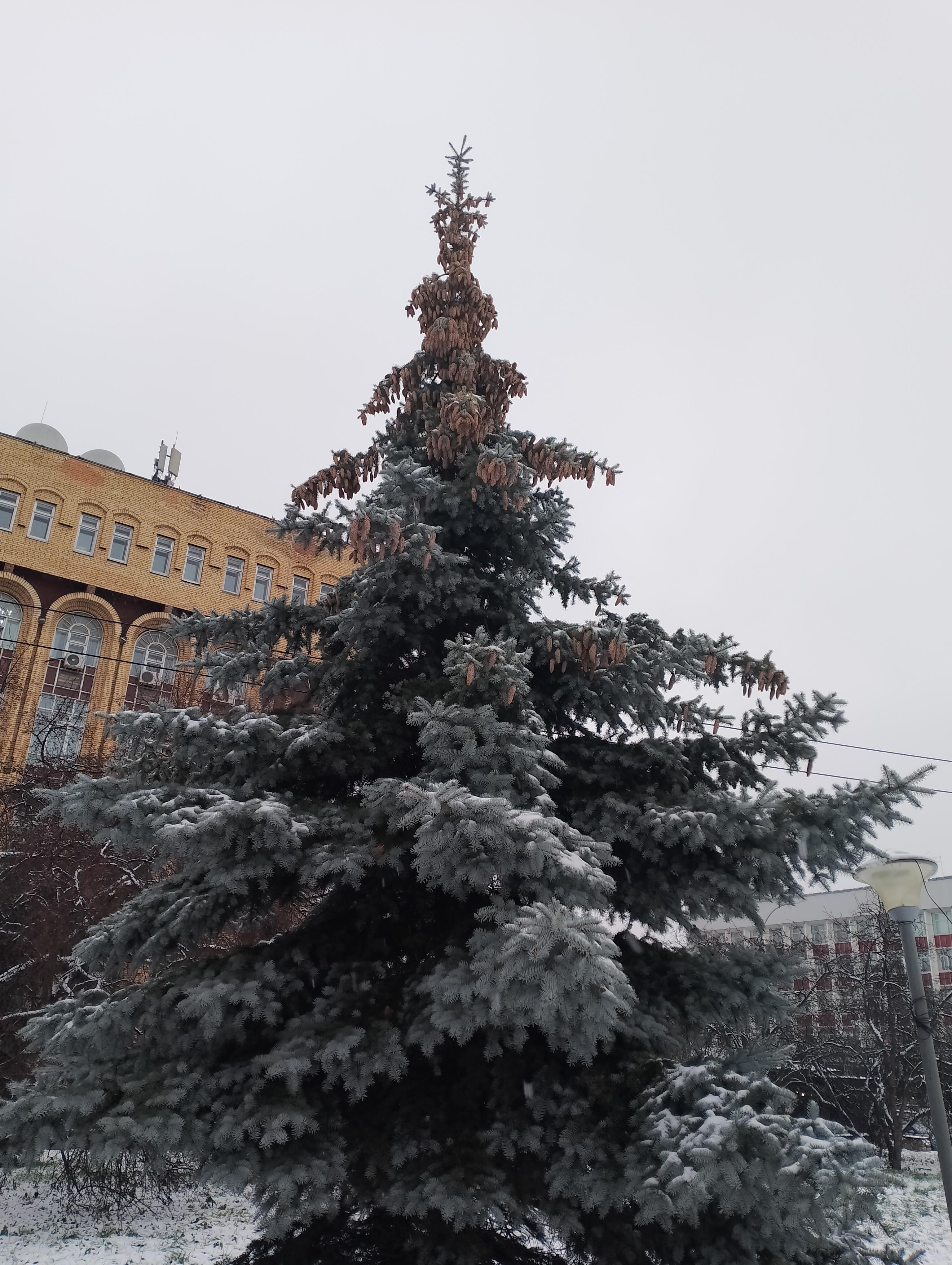 Дрожит от холода земля