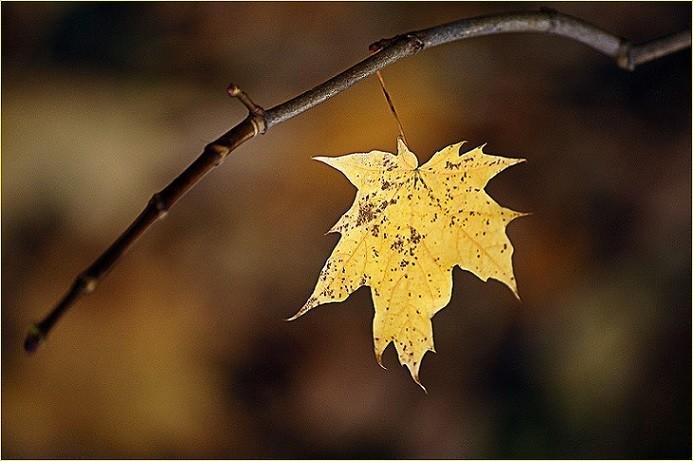 ПОСЛЕДНИЙ ЛИСТОК
