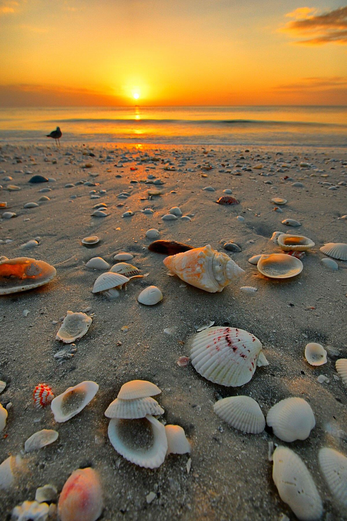 Коварное море