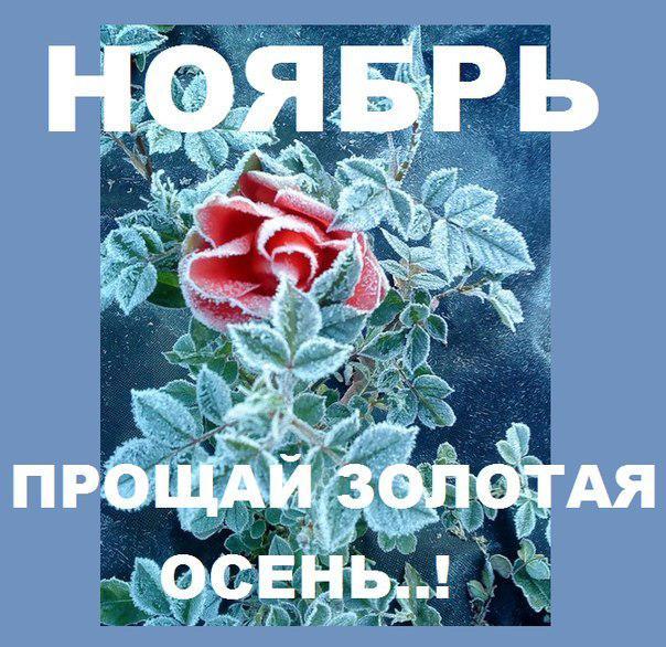 Счастливого ноября. Прощай ноябрь счастливого декабря. Счастливого ноября вам. Открытки счастливого ноября тебе Андрей. Счастливый ноябрь 15.