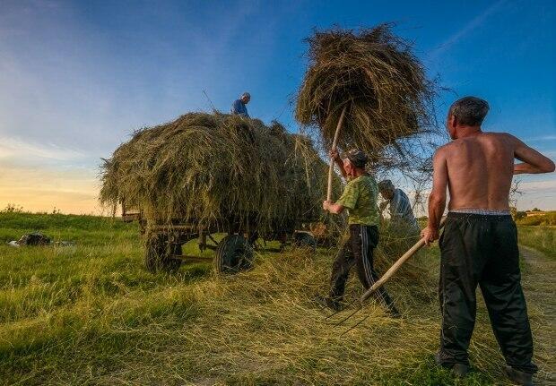 Командировка