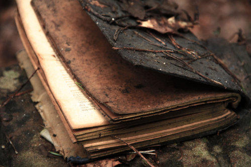 Твой дневник зачиталась