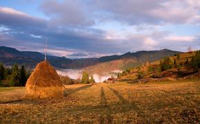 Лето росой отдымилось...