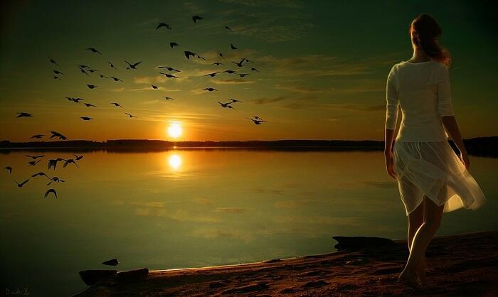 Я тебя покидаю