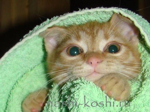 Ну, что ты округлил глаза...