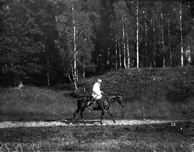 Небольшое размышление к 188-летию Л.Н.Толстого