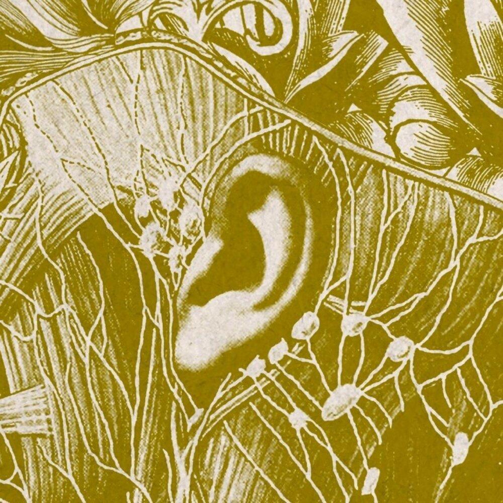 СЛУШАТЬ И УСЛЫШАТЬ