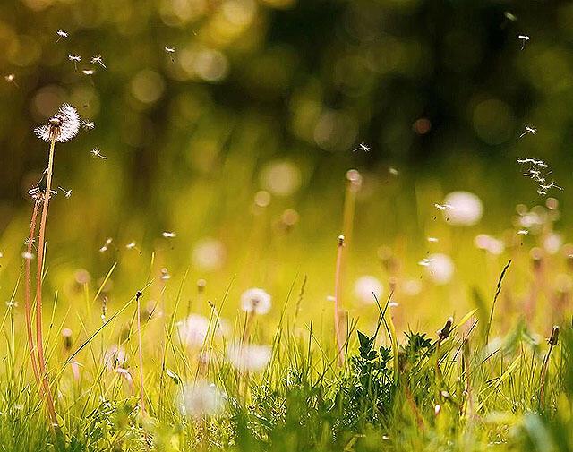 И начнут дни солнце отламывать...